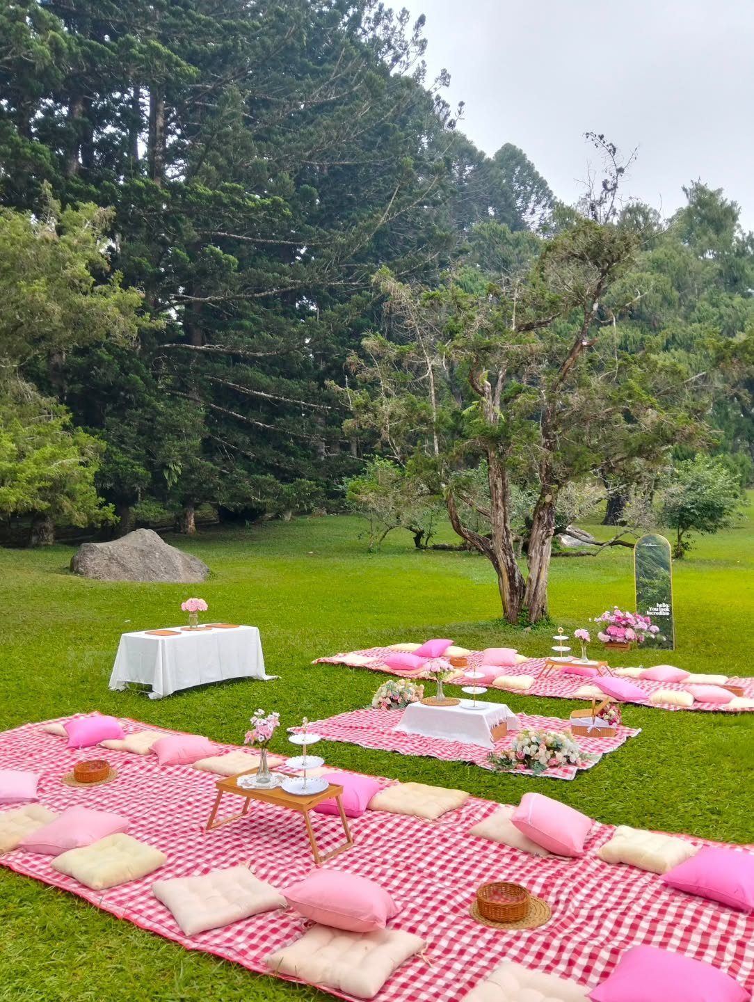 Pink and white checkered picnic blankets with cushions and small tables set on a green lawn.