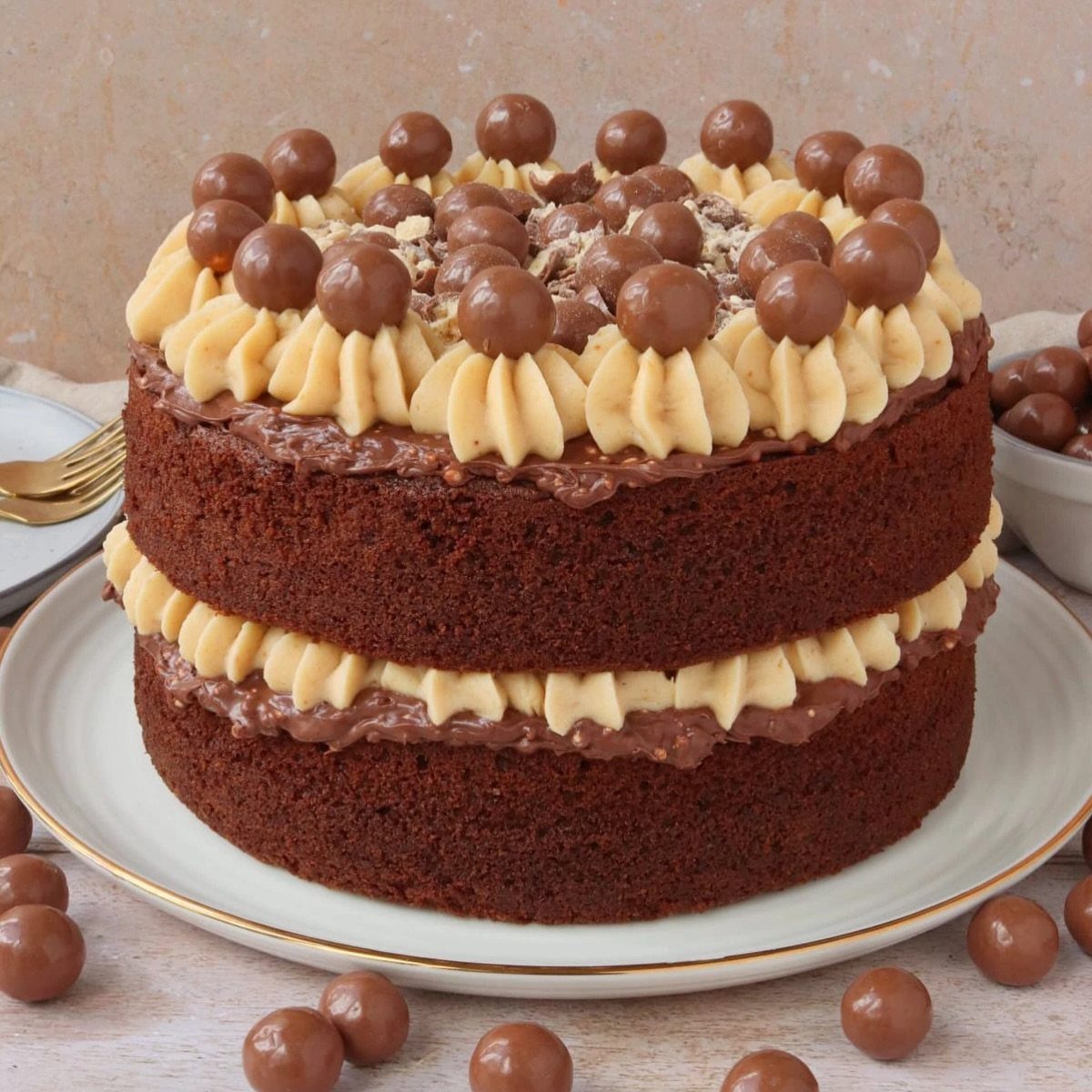 Two-layer chocolate sponge cake topped with tan frosting swirls and round chocolate malt balls.