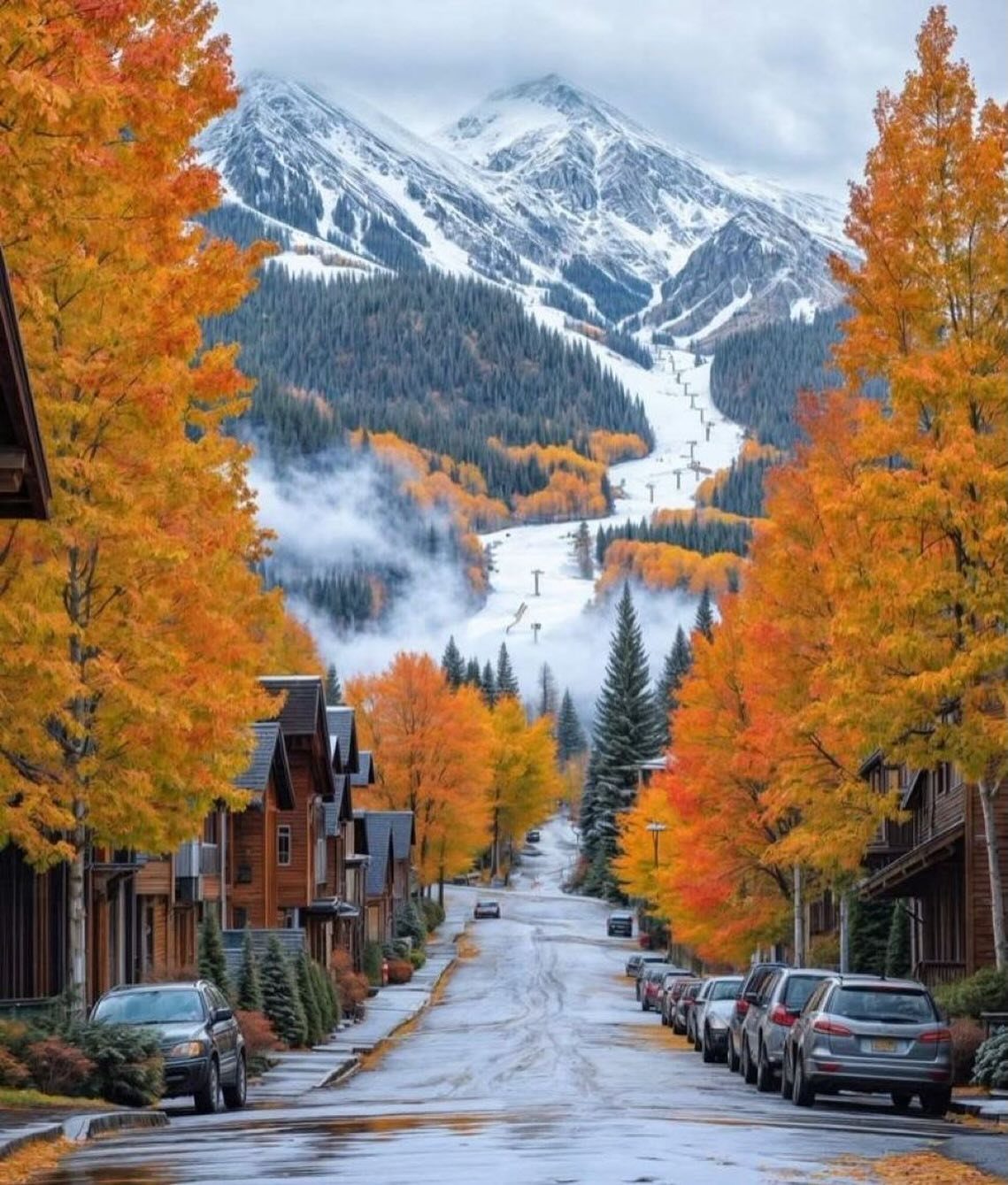 Autumn trees line a street leading toward snowy mountains and a ski resort.