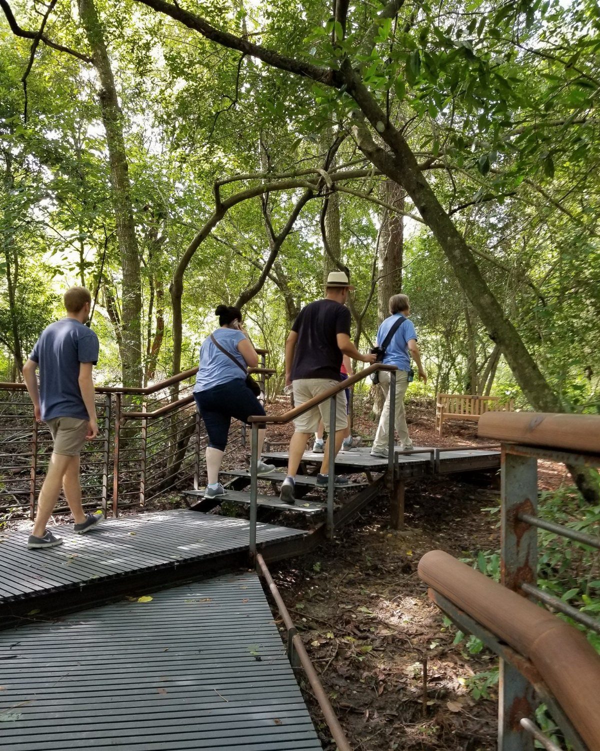 Four people walking along a metal boardwalk through a dense, green forest.