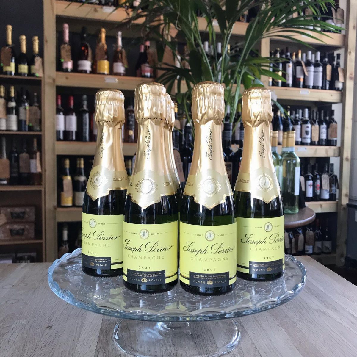 Four mini champagne bottles with gold foil and green labels on a glass stand.