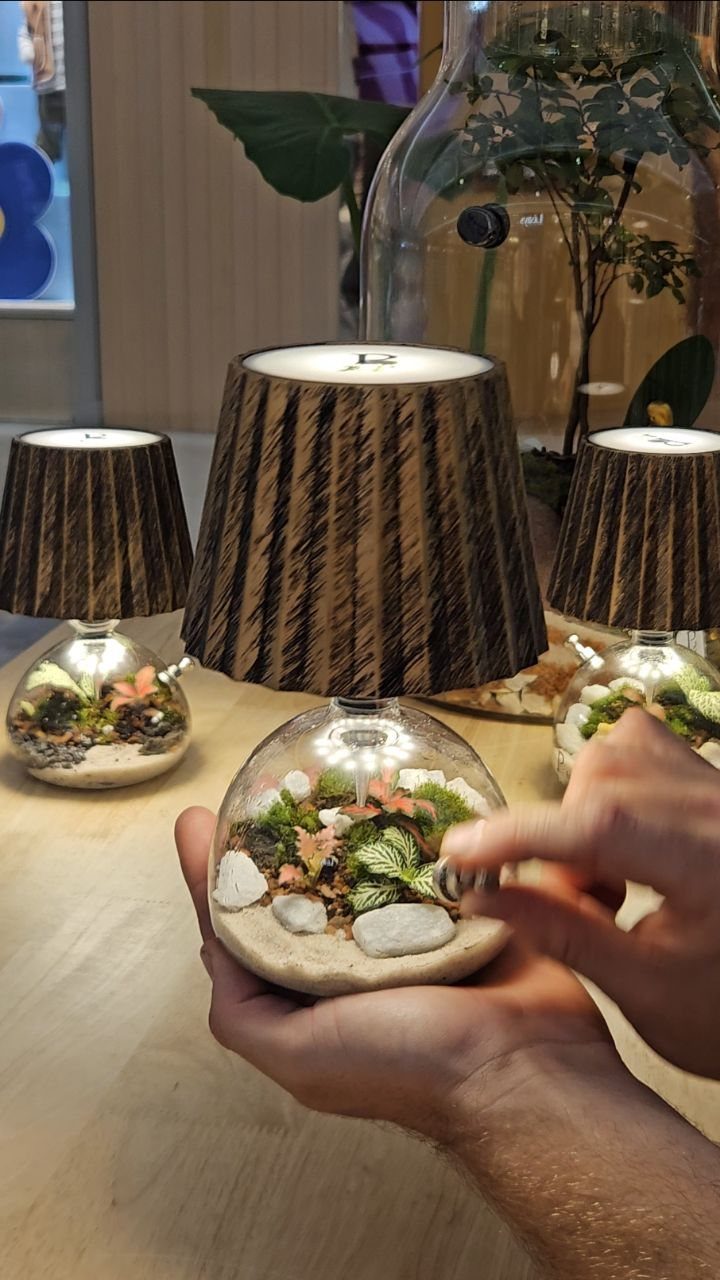 Hands arranging stones and plants inside a small glass terrarium lamp on a wooden table.