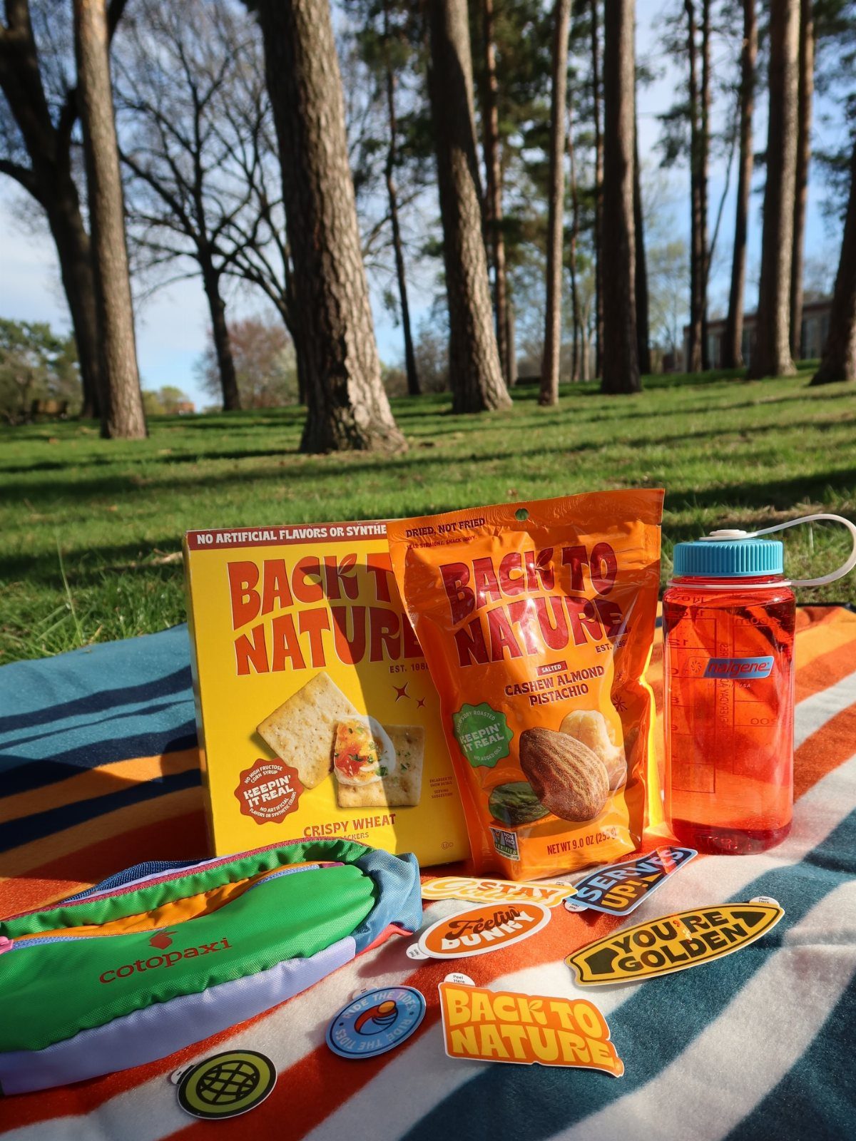 Picnic snacks, a water bottle, and patches laid on a striped blanket in a sunny park.