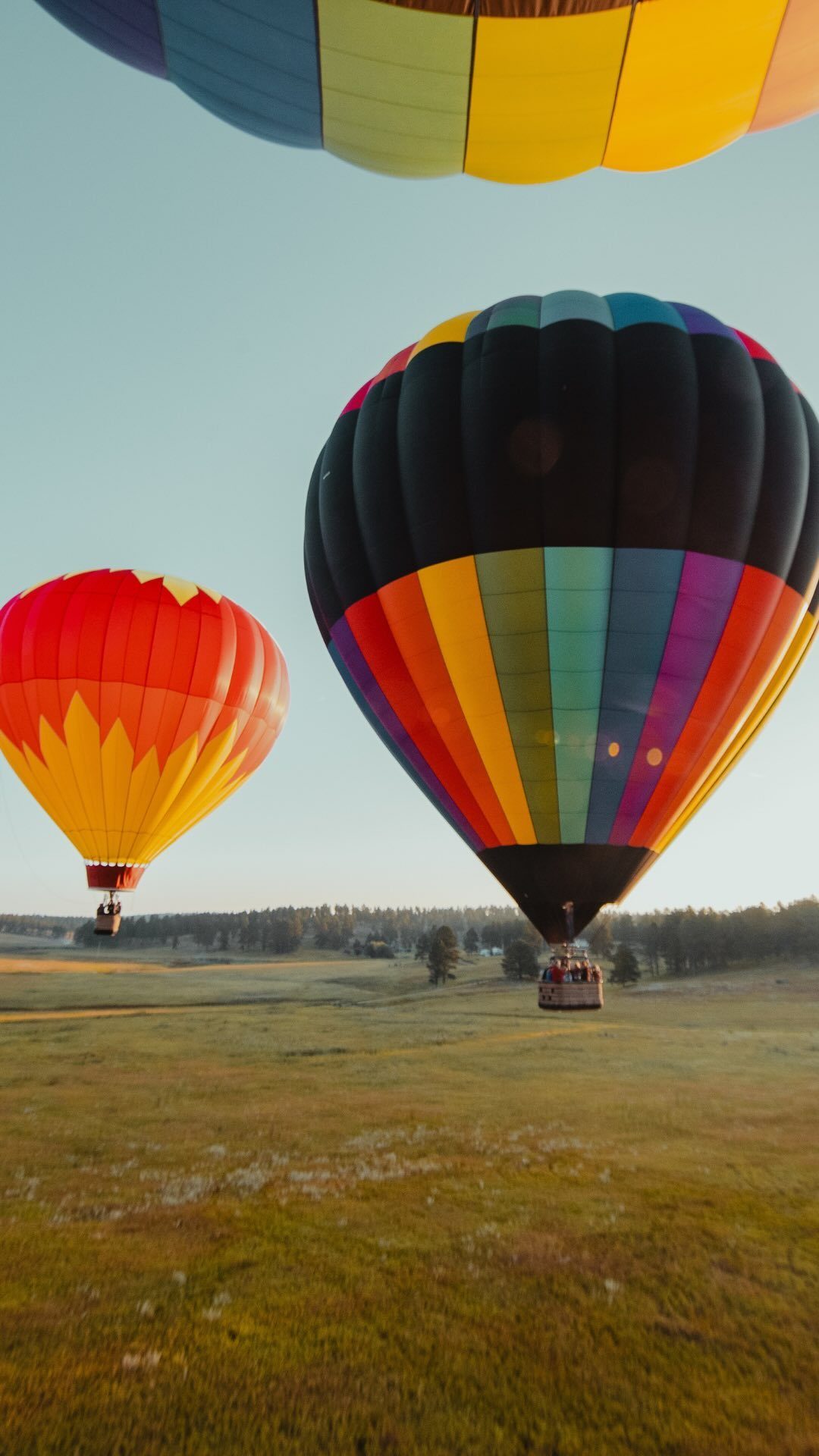 Colorful hot air balloons floating in a clear sky above a wide grassy field and distant trees.