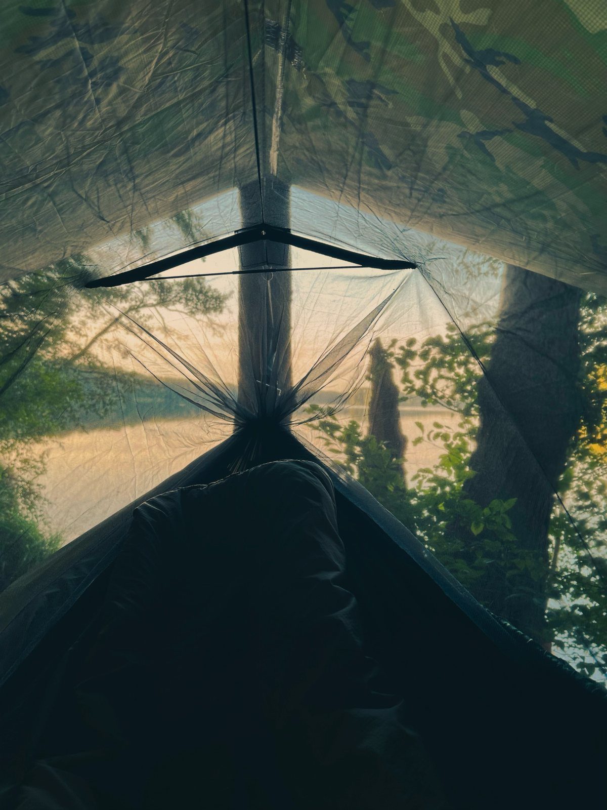 View from inside a camping tent looking out through mesh at a lake and trees during sunset.