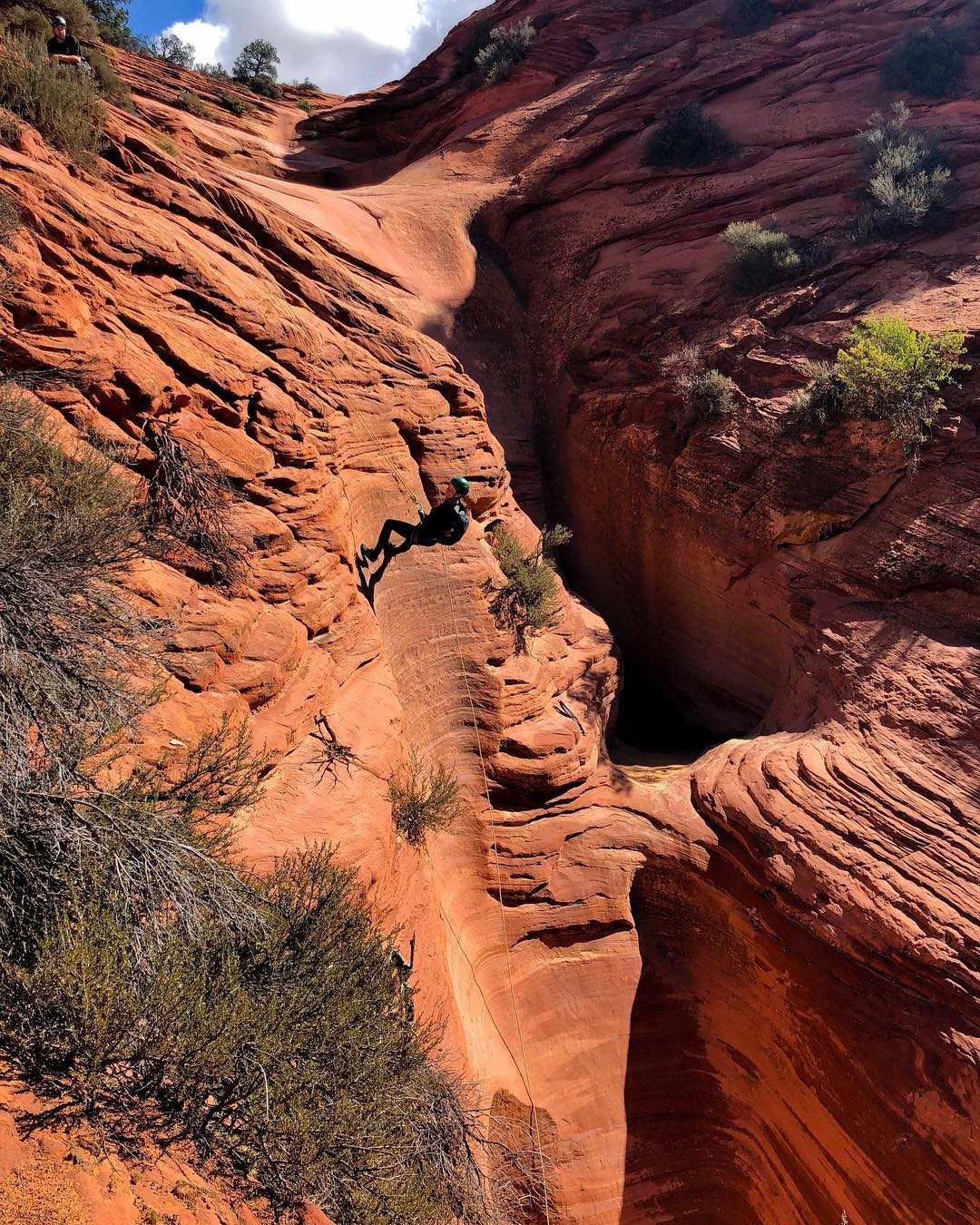A person climbing down a steep, narrow red rock canyon wall amidst desert vegetation.