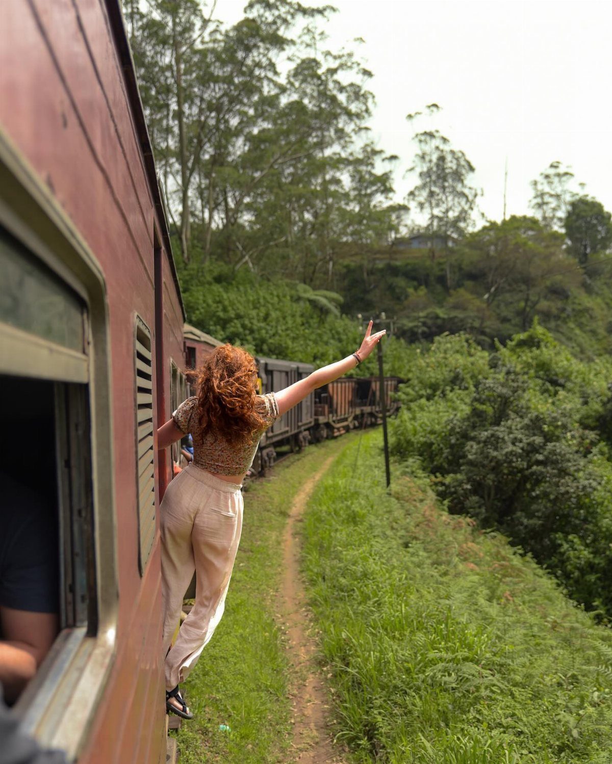 A woman with curly hair leaning out of a red train window amidst green trees.