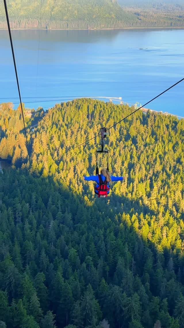 A person zip lining over a vast green forest and a large blue lake.