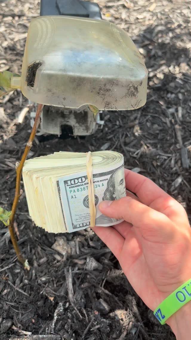 A hand holding a large roll of one hundred dollar bills outdoors.